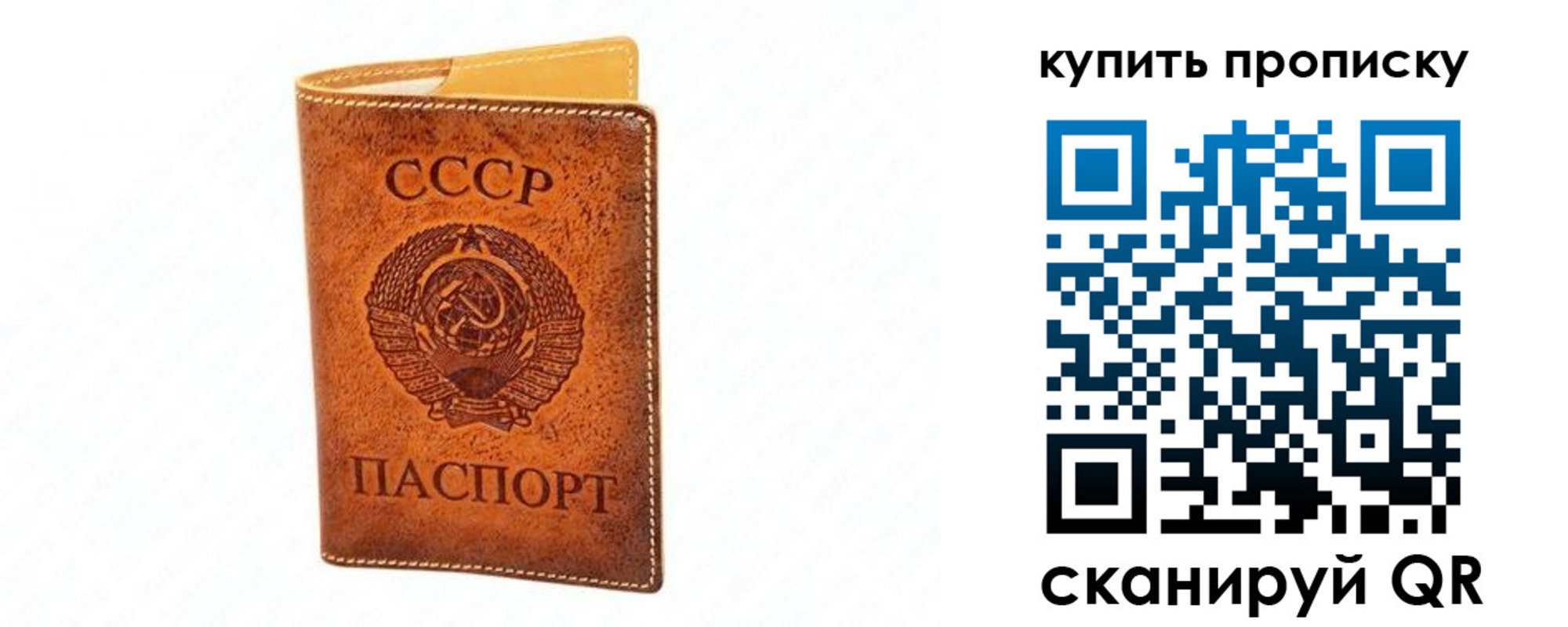 прописка поиск в ЕАО