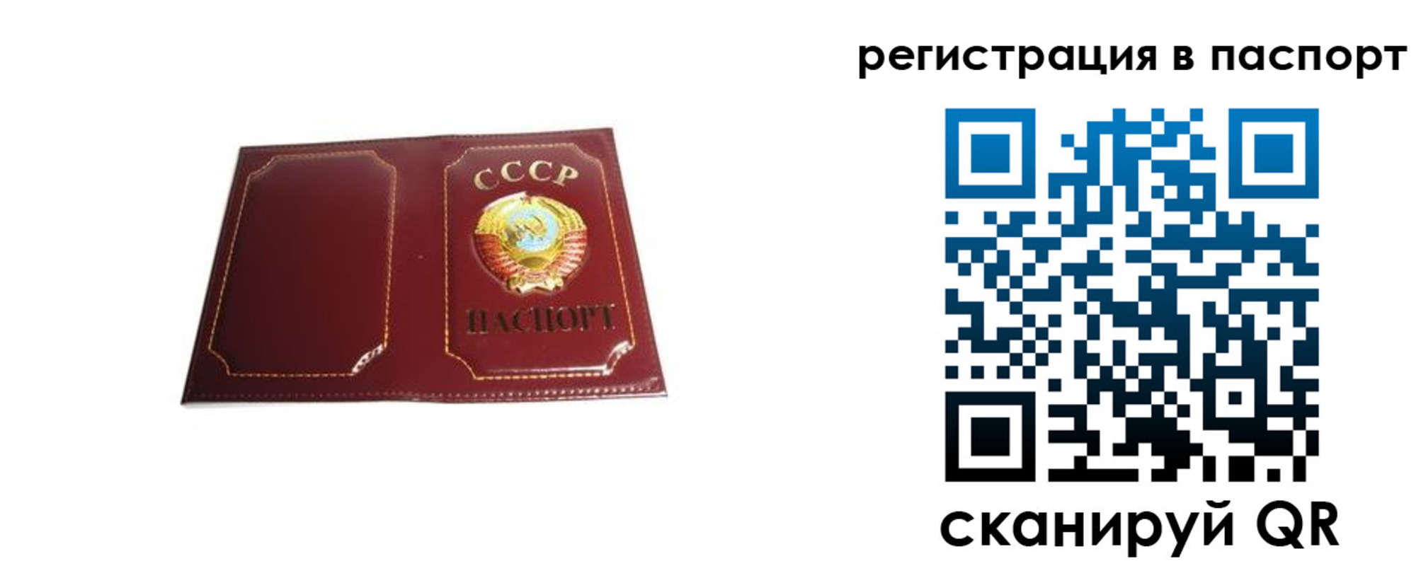 прописка 2025 в ЕАО